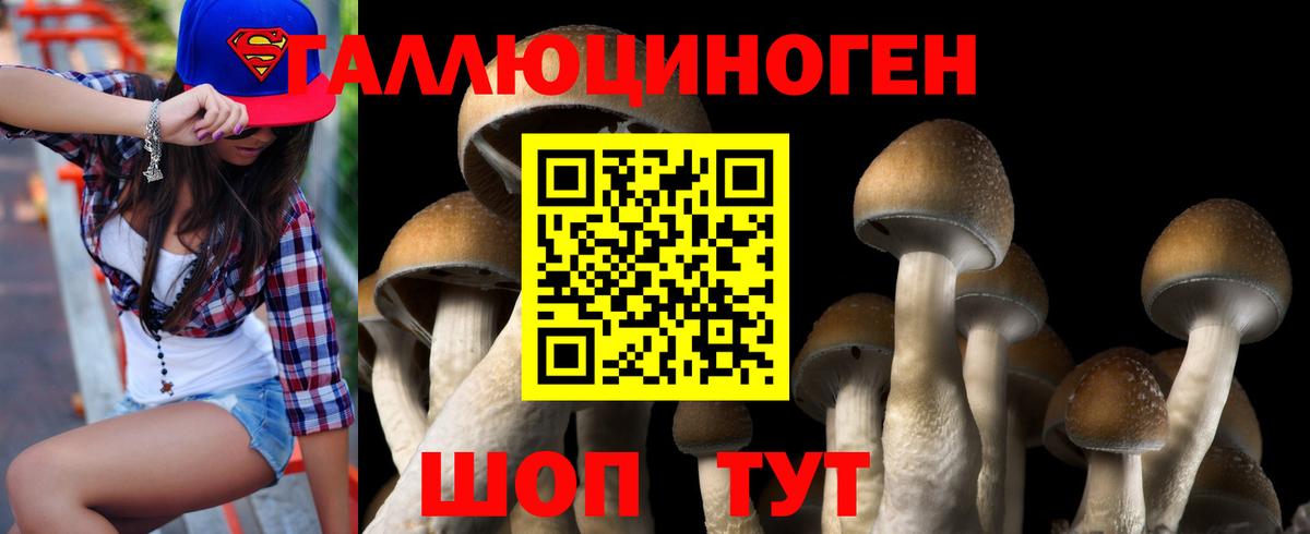 купить наркоту  Галлюциногенные грибы мухоморы  Пыть-Ях  Вход с VPN  Псилоцибиновые грибы Psilocybe 